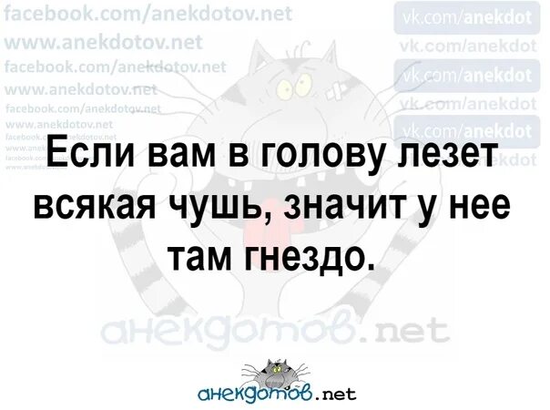 Почему несут чушь. Если вам в голову лезет всякая чушь значит. Если вам в голову лезет всякая чушь значит у неё там гнездо. Фигня лезет в голову всякая. Мысли всякие в голову лезут.