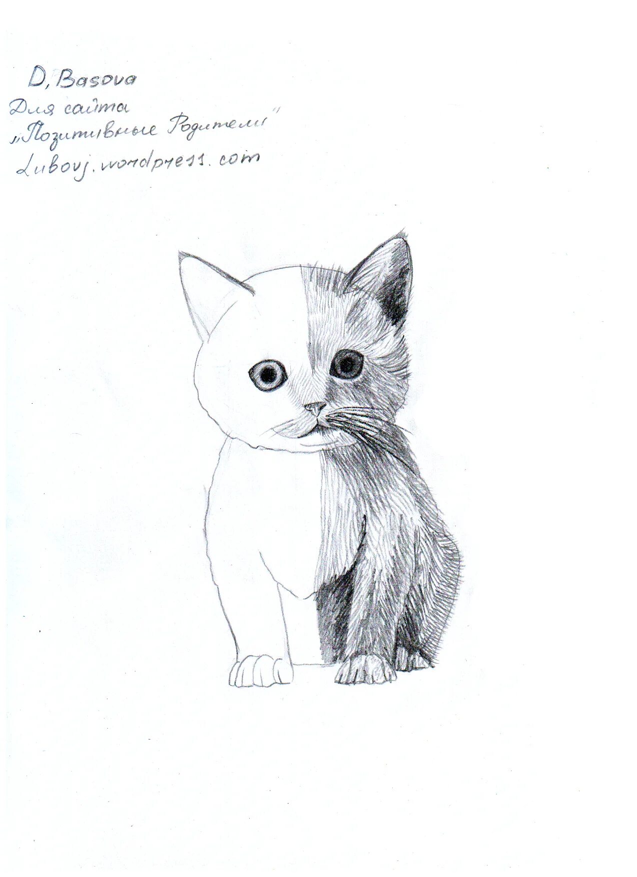 Нарисовать котика карандашом легко и красиво. Рисунки для срисовки лёгкие. Рисунки уотяков. Нарисовать котика карандашом легко и красиво. Кошка рисунок карандашом.