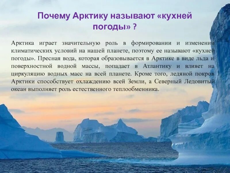 Есть ли страна холоднее чем россия география. Факты о Арктике. Рассказывают дети Арктика. Рассказ про Арктику. Арктика информация.