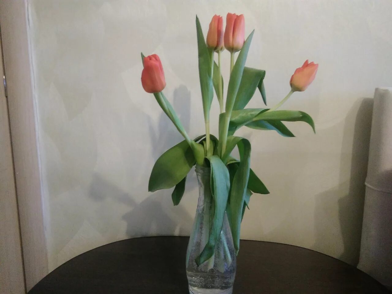 Почему тюльпаны быстро раскрылись. Тюльпаны наклонились вниз. Восстановленные цветы. Чтобы срезанные тюльпаны стояли долго. Тюльпаны быстро вянут.