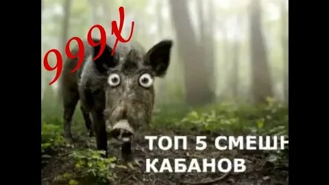 Топ 5 смешных