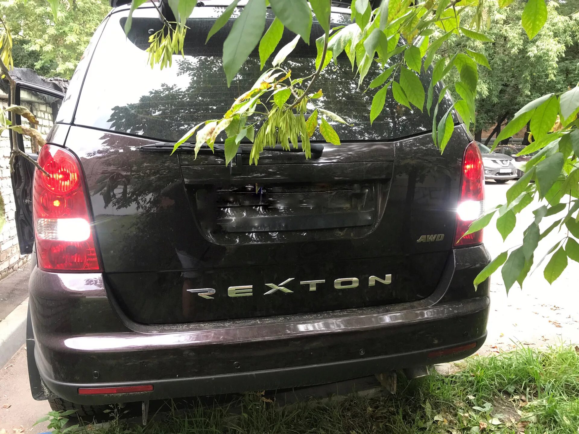 Лампы rexton. Лампы rexton