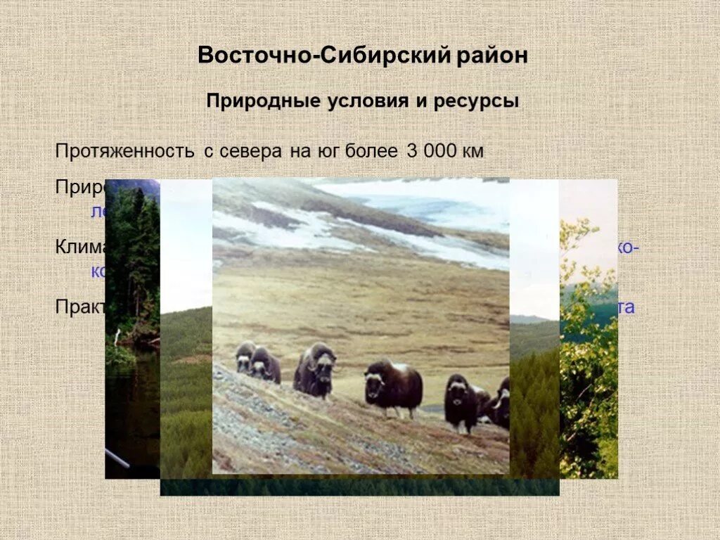 Оценка природных условий районов восточной сибири. Природные условия Восточно Сибирского района. Природные условия Восточной Сибири. Восточно Сибирский район природные условия и ресурсы. Ресурсы Восточно Сибирского района.