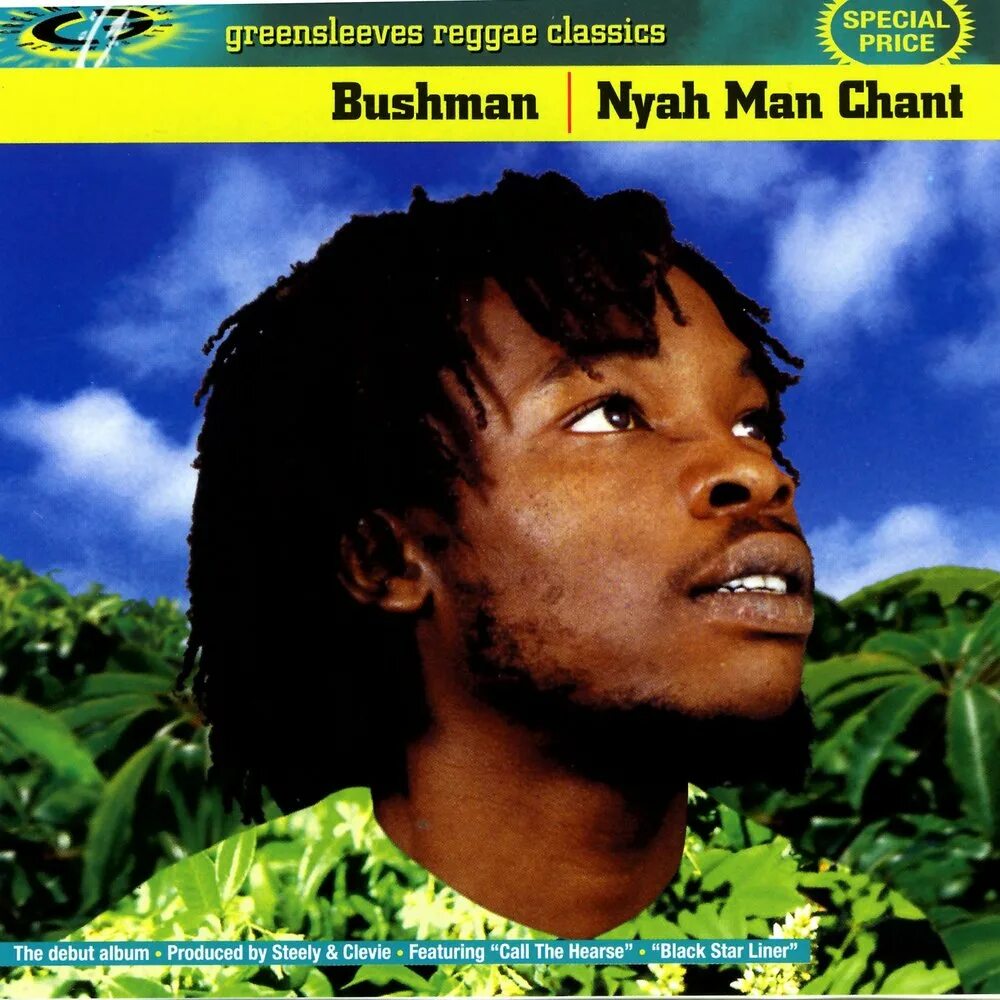 Bushman no one else. Bushman no one else. Bushman альбомы. Mix bushman. Bushman певец.