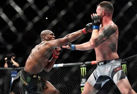 История ufc