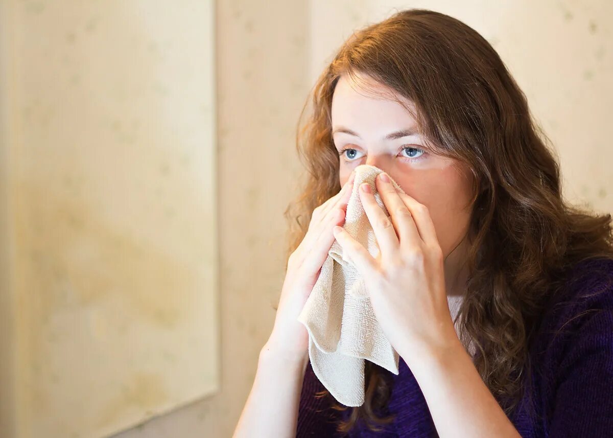 Stuffy nose. Аромамаркетинг listen to your nose. stuffy nose cough.