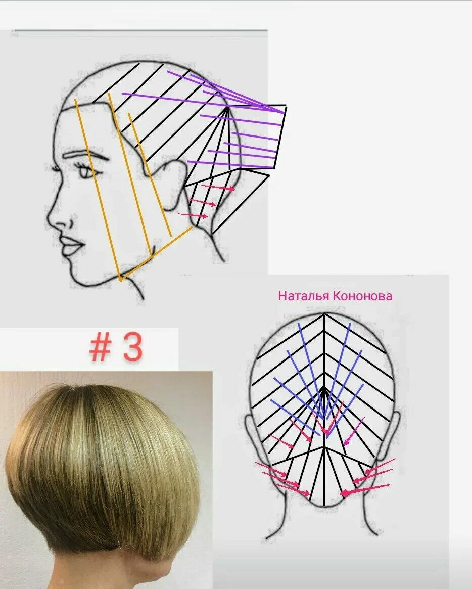 Боб каре схема. Стрижка Боб каре градуированное технология. Техника стрижки градуированного Боб каре. Стрижка каре градуированное техника стрижки. Градуированный Боб схема стрижки.
