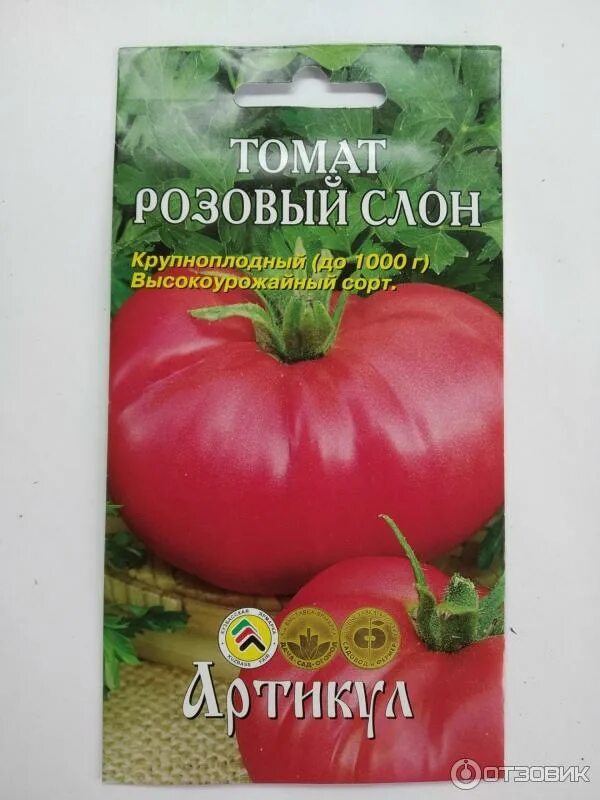 Помидоры "Розовый слон": ключевые характеристики томатов этого сорта и их описан