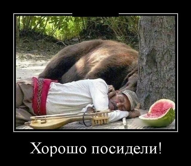 И они посидели еще немножко. Включи посидели. Рисунок жаль пятачок рано ушел. Меринов жалко пятачок рано ушел. Хорошо вчера посидели.