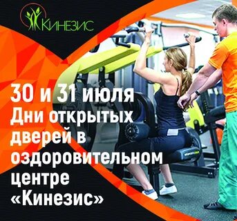 Кинезис брянск телефон