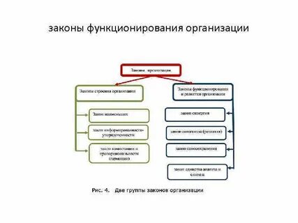 Законы функционирования организации
