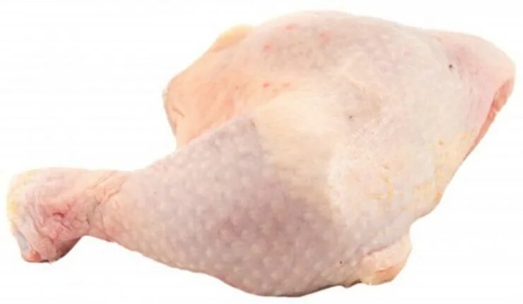 Окорок цыплёнка бройлера. Ножки окорочка. Окорочка куриные. Окорочок копченый. Окорочка вид сверху.