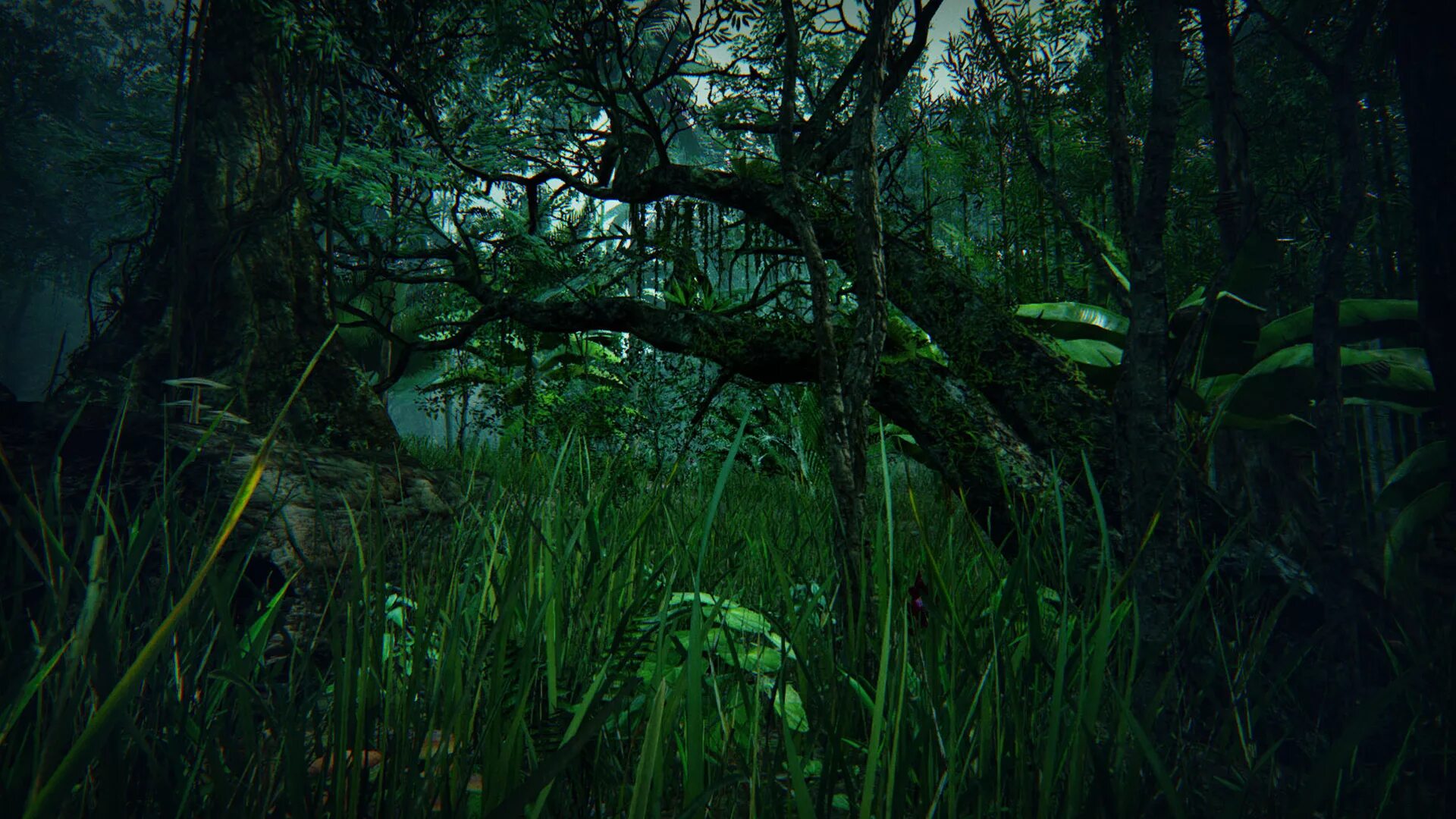 Бирнамский лес шотландия. Стихотворение про сказочный лес. В густом лесу 2. Дремучий лес. Здравствуй лес дремучий лес автор.