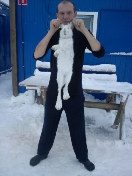 Маршрутка троицко печорск сыктывкар. Посёлок городского типа троицко-печорск. Про нас троицко-печорск дом. Пгт троицко-печорск республика коми. Печорске.