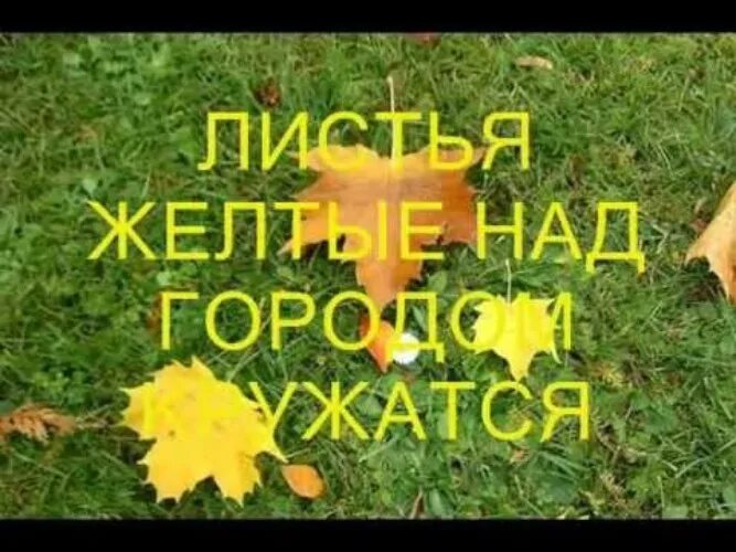 Текст песни листья желтые кружатся. Желтый лист. Песня листья желтые. Песня листья жёлтые над городом. Листья жёлтые над городом кружатся текст.