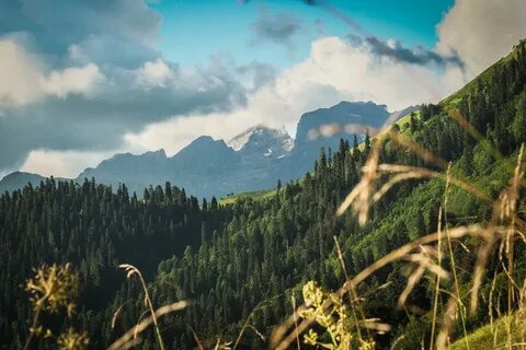 Wild mountain