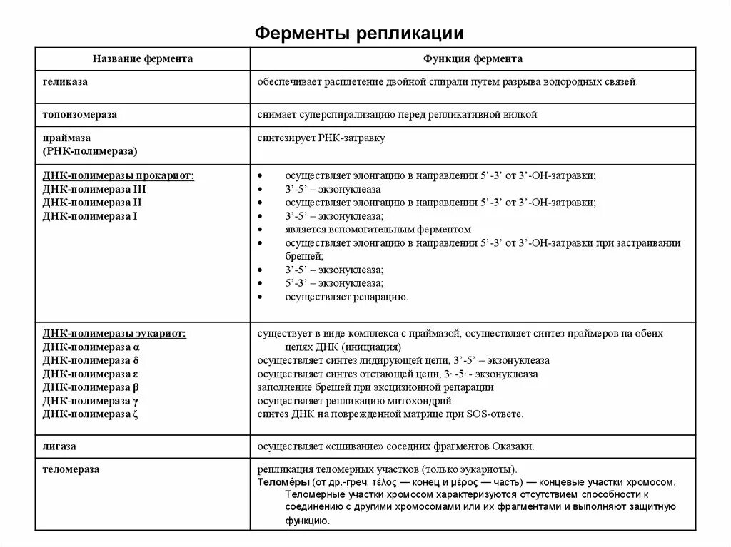 Функции ферментов таблица. Ферменты репликации и их функции. Ферменты участвующие в репликации ДНК. Ферменты участвующие в процессе репликации ДНК. Ферменты участвующие в репликации ДНК И их функции.