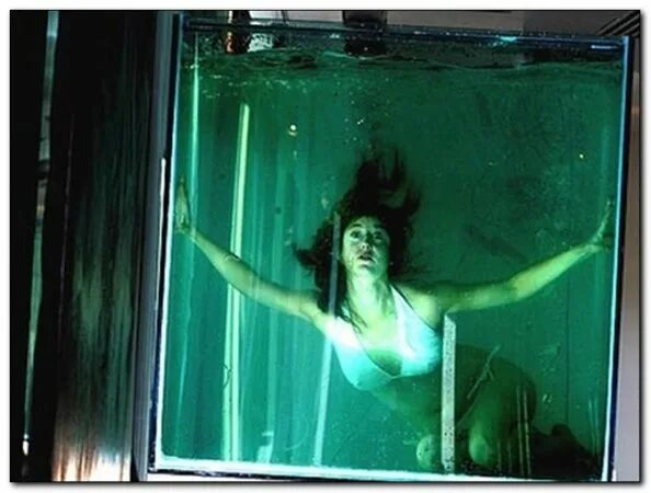 Девушка в стеклянном ящике. Девушку закрыли в стеклянном ящике. Девушку закрыли в стеклянном ящике. Катрин ненашева в клетке. Человек в стеклянной коробке.