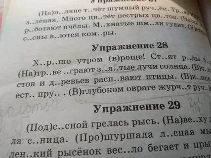 Вставь пропущенные буквы луч солнца осветил