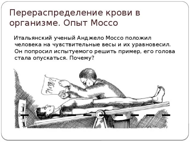 Опыт Анджело Моссо. Перераспределение крови в организме. Опыт перераспределение крови в организме. Перераспределение крови в организме кратко.