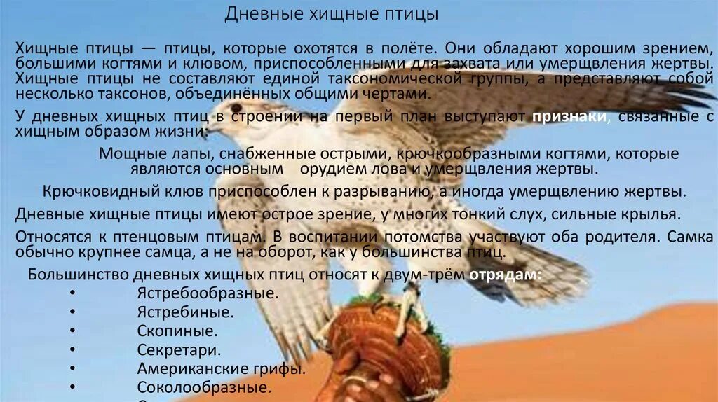 Характеристика отряда дневные Хищные птицы. Дневные Хищные птицы характерные признаки отряда. Дневные Хищные птицы презентация. Отряд дневные Хищные птицы таблица