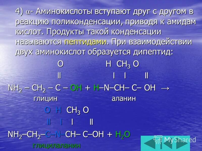 В реакцию с аминокислотами вступает. Взаимодействие аминокислот друг с другом реакция. Поликонденсация аминокислот. Взаимодействия между аминокислотами.