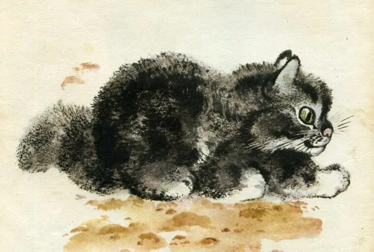 Е чарушин кот. Кот маруська чарушин. мурзук чарушин.