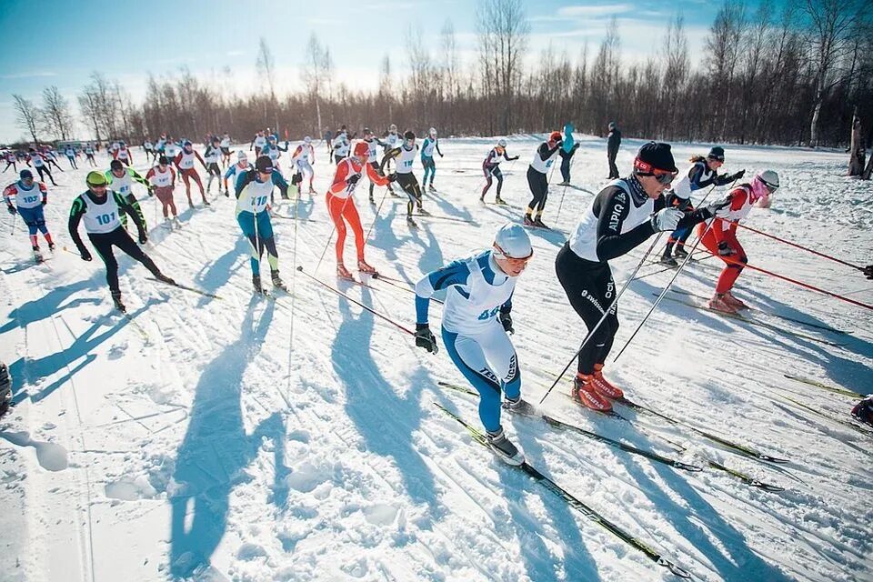Лыжные гонки. Соревнования по лыжам. Лыжный спорт соревнования. Лыжный спорт в России. Соревнования спортсменов любителей