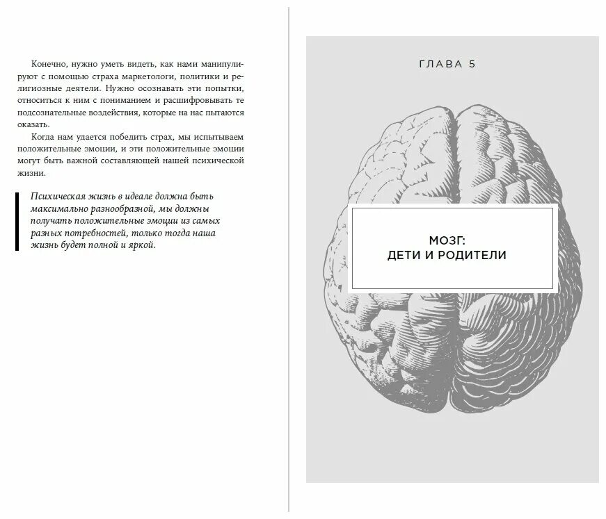 Книга мозг и его потребности от питания до признания. Мозг и его потребности Дубынин.