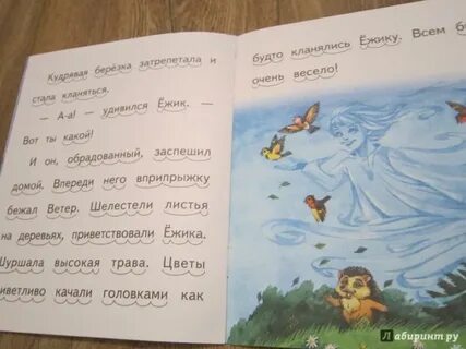 Где живет ветров