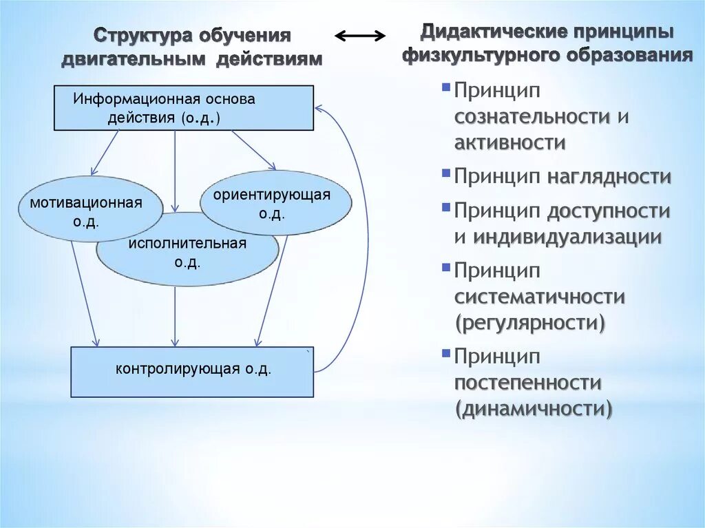 Основные обучения двигательным действиям. Структура процесса обучения двигательному навыку. Принципы обучения двигательным действиям. Схема обучения двигательному действию. Принцип сознательности и активности обучения.