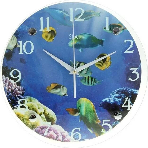 Мини аквариум. Мини аквариум с подсветкой. Мини аквариумы настольные. Часы аквариум настенный для рыбки. Настольный аквариум.