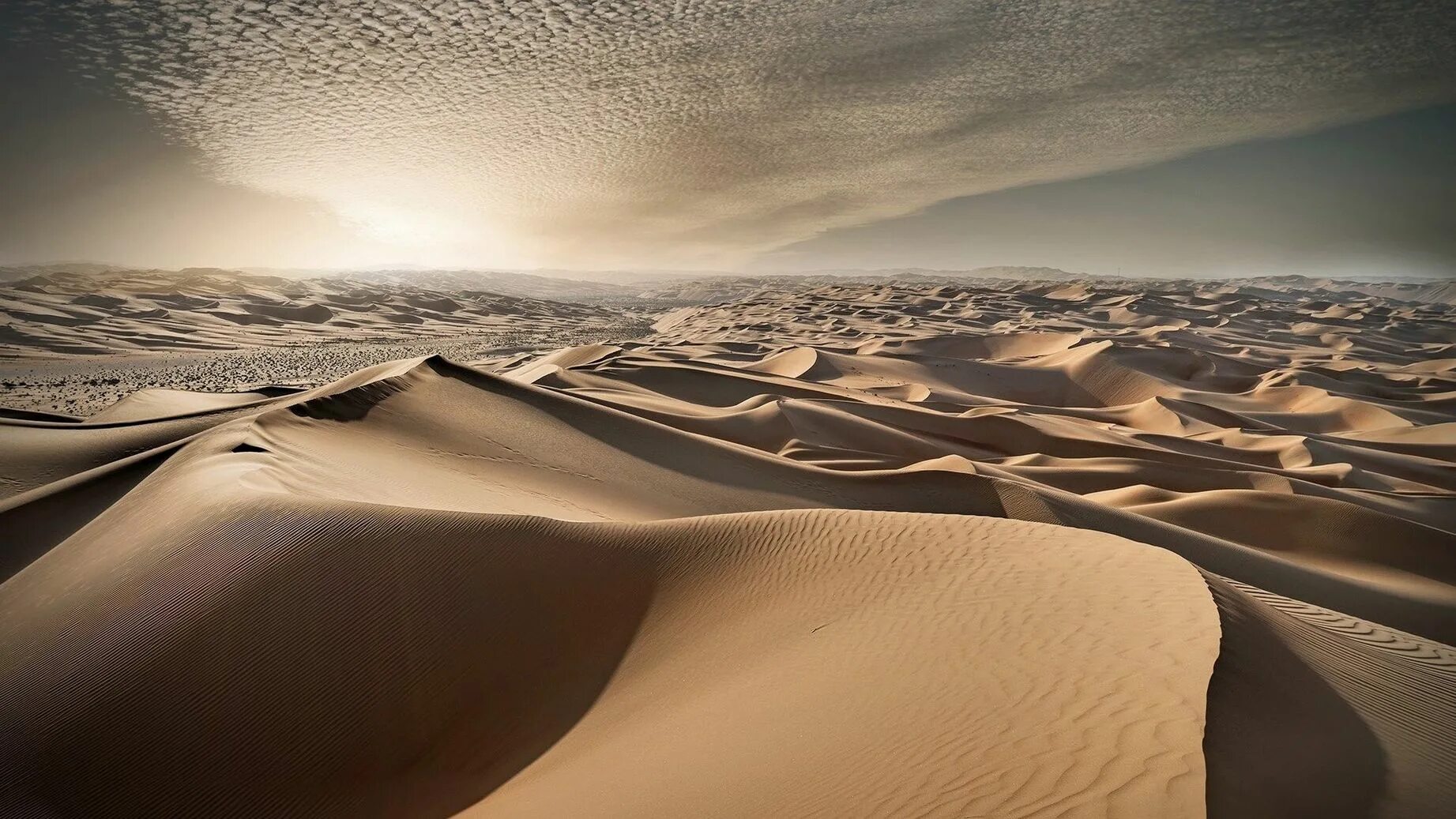 Дюна пустыня. Барханы Оазис Саудовская Аравия. Пустыня Барханы Оазис. Барханы в Абу Даби.