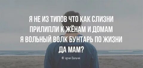 Я волк да мам