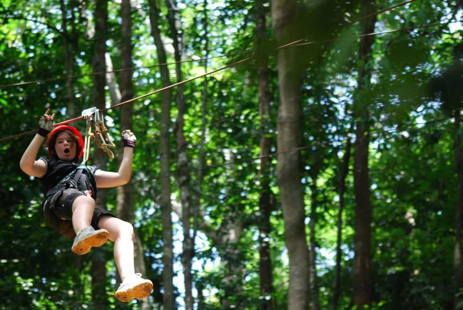 Tree jumping
