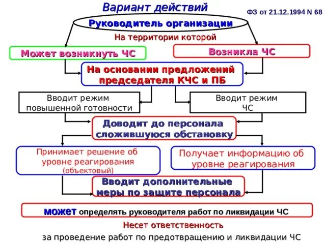 Основание для действия в данных. Варианты действий. Руководитель организации от ЧС. Вы директор школы. Произошло ЧС втора ваши действия.