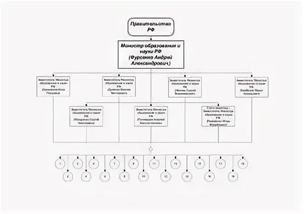 Структура образования реферат. Структура образования реферат