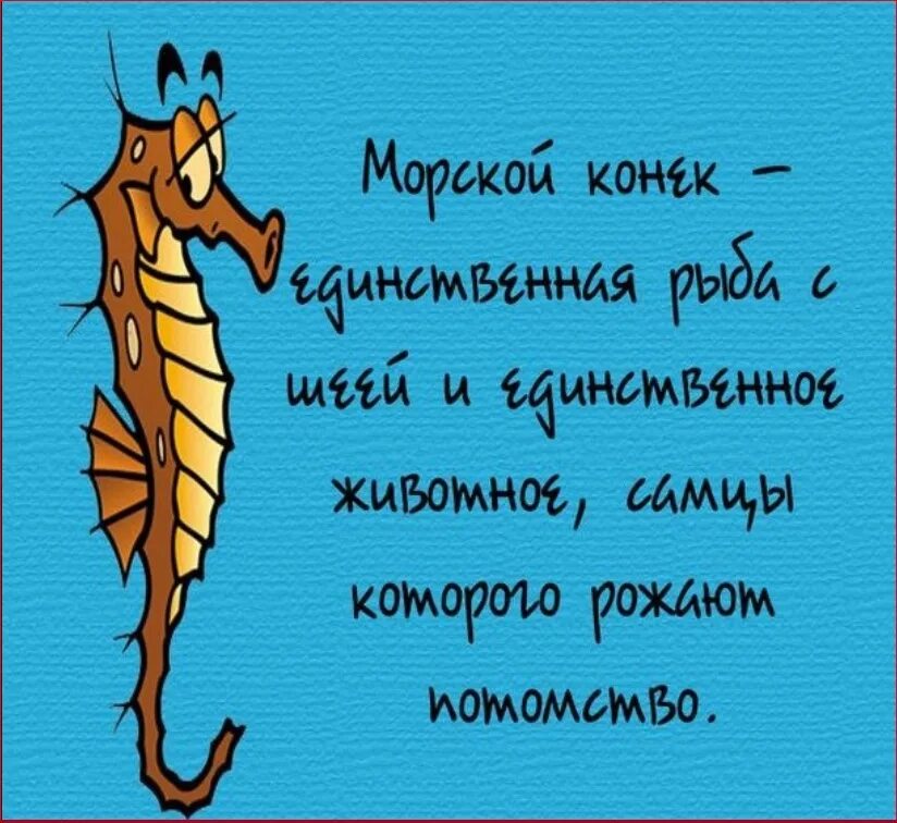 Что нибудь интересное что ли