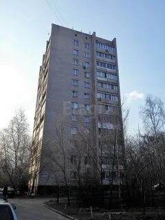 Березовая роща 24 1 воронеж