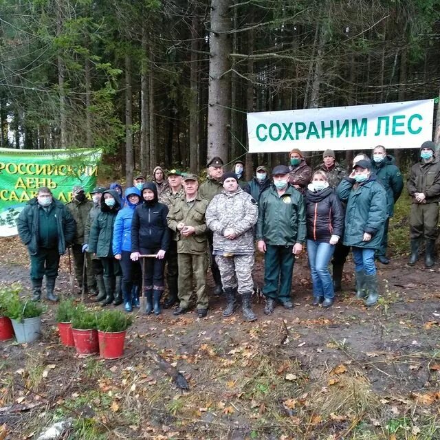 буклет по противопожарной безопасности в лесу. современные проблемы лесопользования. презентация охрана лесов. презентация по охране леса. структура охраны лесов.