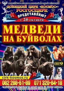 Расписание программы цирка