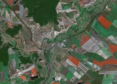 Белгородская область в реальном времени