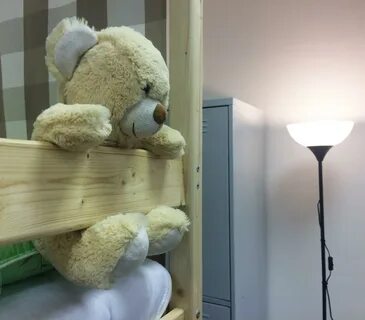 Мишки мишки новосибирск