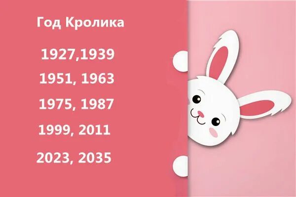 Год кролика 2023. 2023 Год год кролика. Календарь на 2023 год с кроликом. Год кролика 2023 для кролика. 24 год год кролика