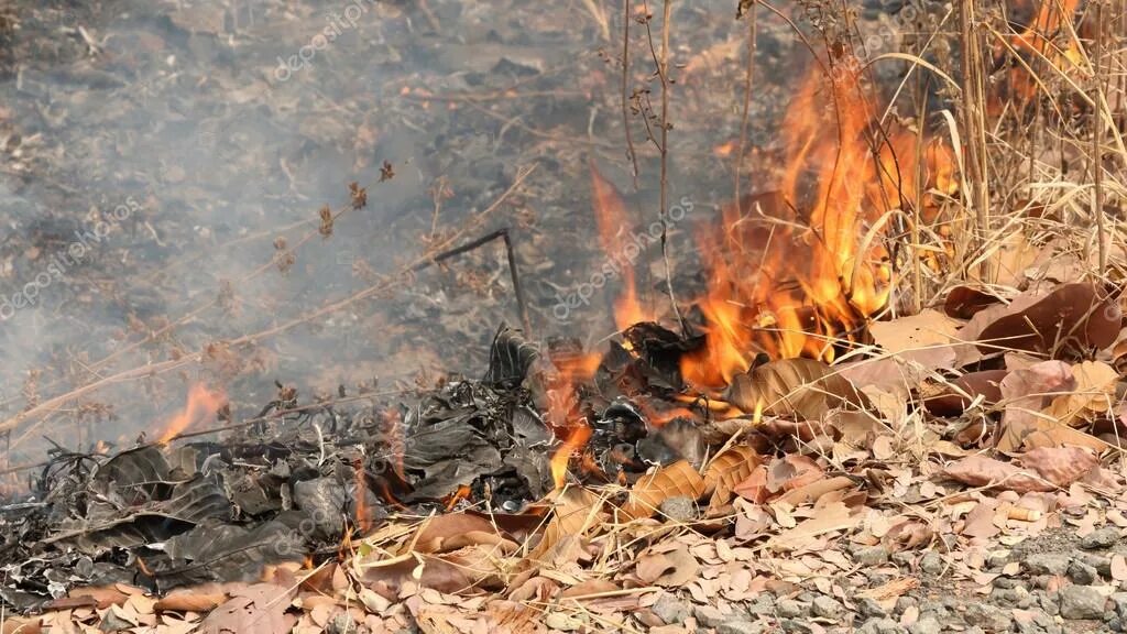 Фон для презентации осень. Костер осенью. Горящие листья в парке. Осень горит. Стихотворения анатолия жигулина.