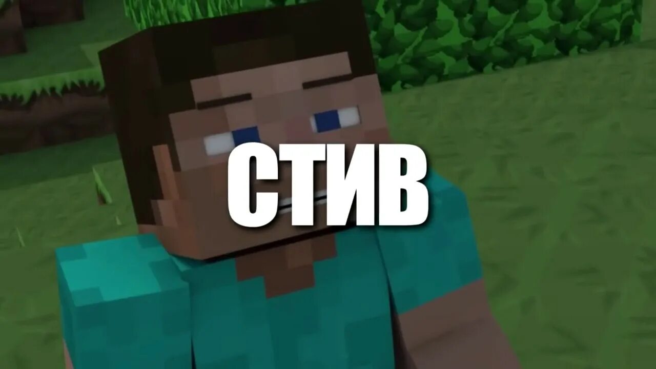 Битва стива. Битва стива