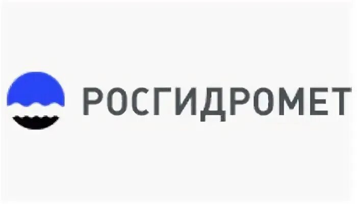 Федеральное бюджетное государственное учреждение гидрометеорологии. Росгидромет. Росгидромет эмблема. Федеральная служба по гидрометеорологии.