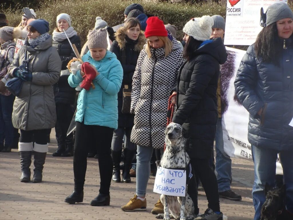Дети живодеры. Дети живодеры. Дети живодеры. Против живодеров. Дети живодеры.