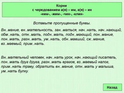 Слова с корнем зан