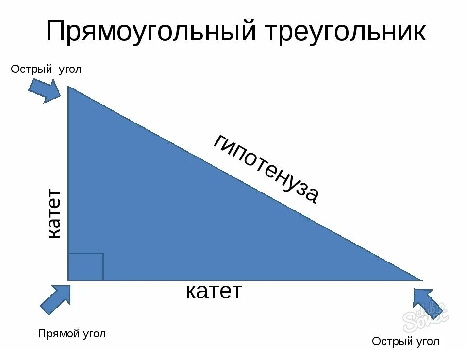 Гипотенуза больше любого катета. Площадь прямоугольного треугольника 4 класс Петерсон. Площадь прямоугольного треугольника формула 4 класс Петерсон. Прямоугольный треугольник. Прямоугольныйтоейугольник.